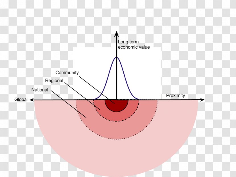 Nose Circle Diagram - Tree Transparent PNG