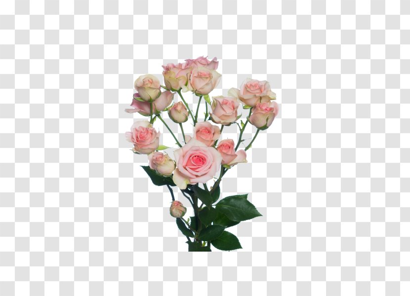 Yekaterinburg Garden Roses Flower Bouquet Floral Design - Wholesale Transparent PNG