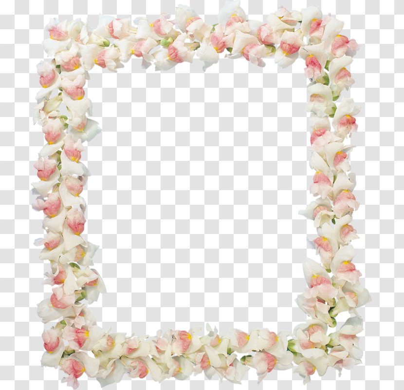 Picture Frames Flower Clip Art - Pink Transparent PNG