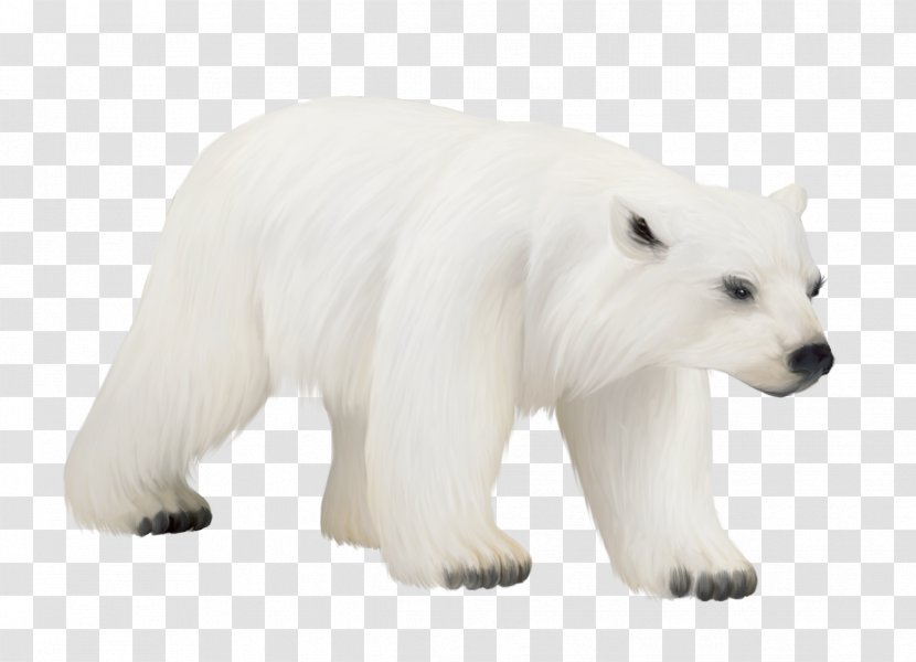 Polar Bear American Black Clip Art - Cuteness Transparent PNG