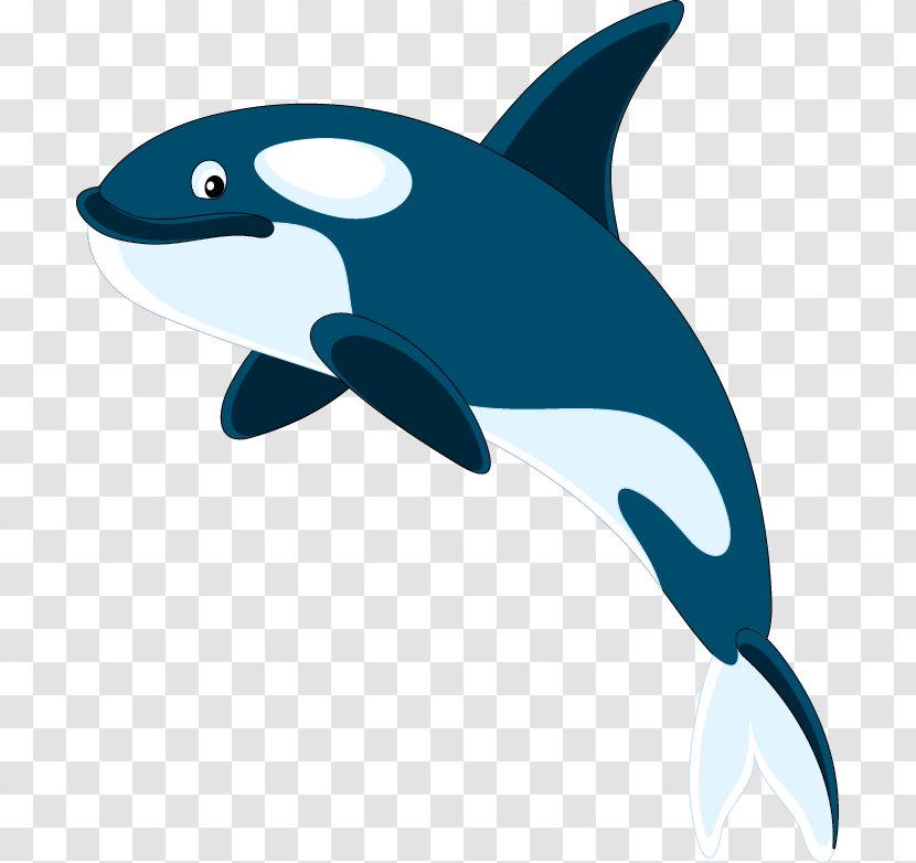 Common Bottlenose Dolphin Killer Whale Swimming Pool - Organism - Marine Mammal Transparent PNG