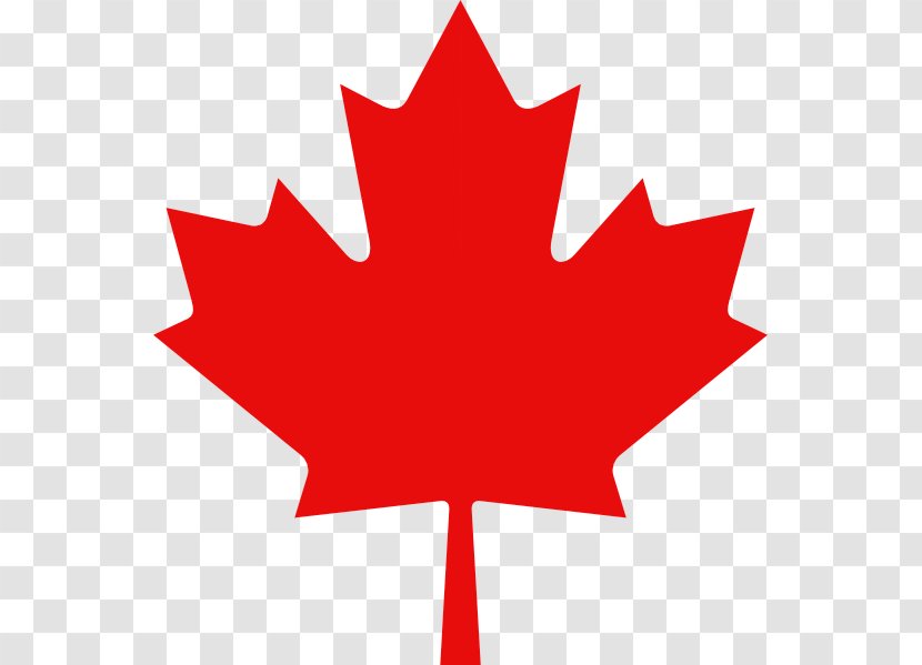 Flag Of Canada Maple Leaf Clip Art - Flower Transparent PNG