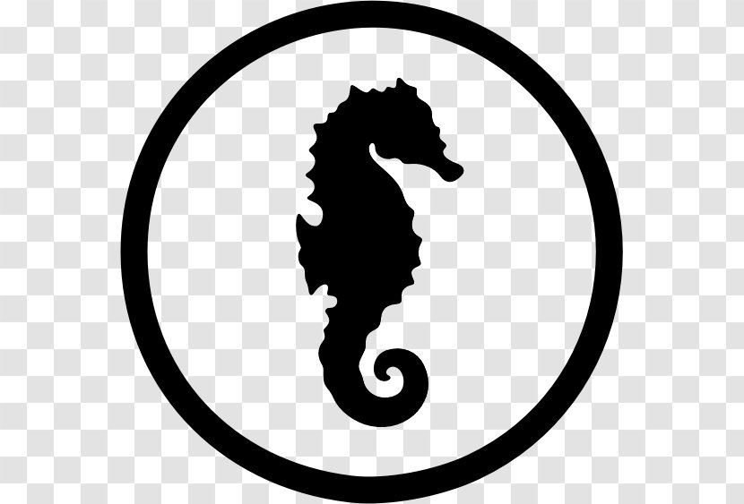 New Holland Seahorse Silhouette Wall Art - Monochrome Photography Transparent PNG