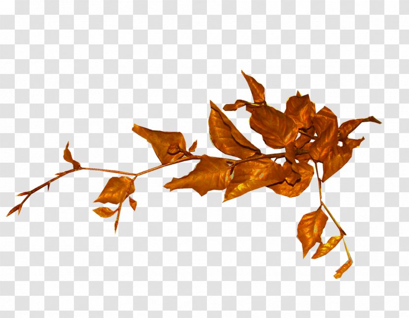 Tree Shrub Leaf Clip Art - Autumn - Leaves Transparent PNG