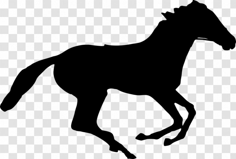 Horse Racing Stallion Jockey Equestrian - English Riding Transparent PNG