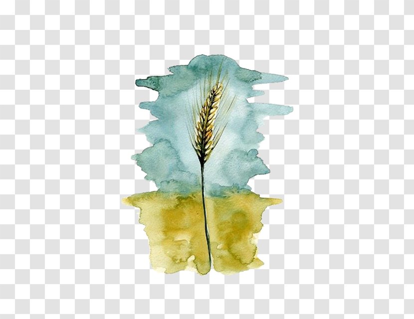 Wheat Watercolor Painting - Yellow Transparent PNG