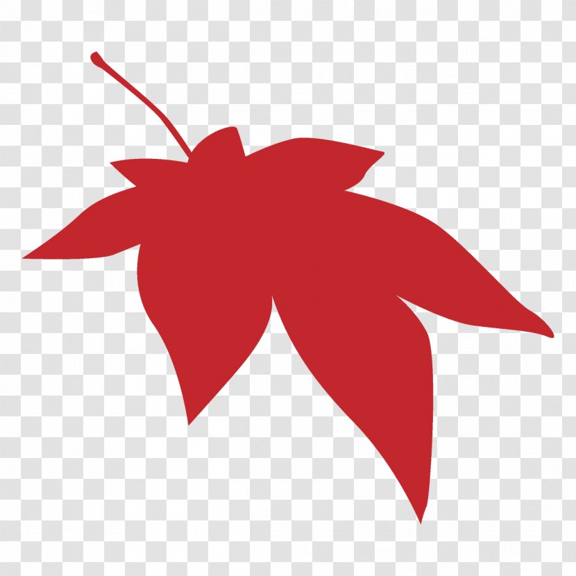 Maple Leaf Autumn Fall - Plant - Logo Flower Transparent PNG