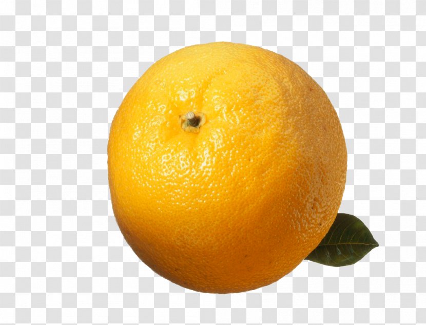 Clementine Citrus Junos Mandarin Orange Grapefruit Citron - Tangelo Transparent PNG