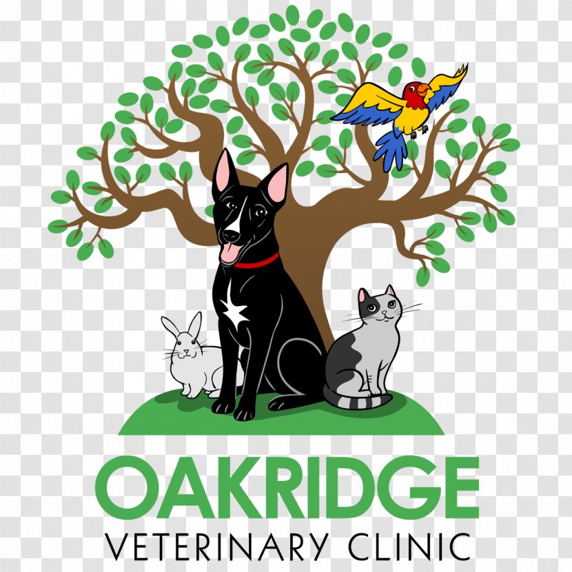 Cat Dog Oakridge Veterinary Clinic ARCHVET Animal Hospital Sunnyvale - Mammal Transparent PNG