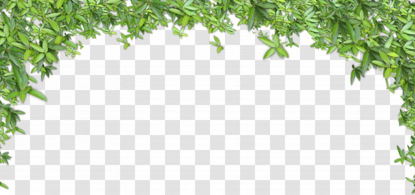 Clip Art - Leaf - Green Leaves Background Transparent PNG