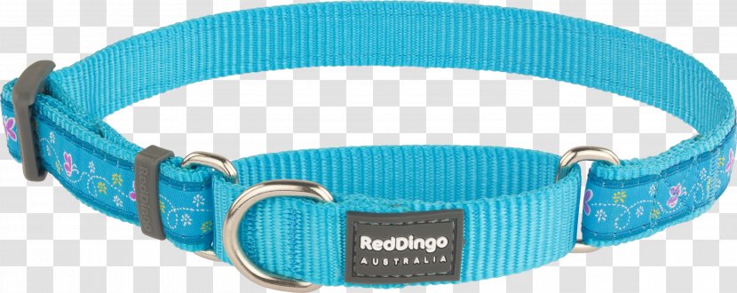 Dingo Dog Collar Martingale - Electric Blue Transparent PNG
