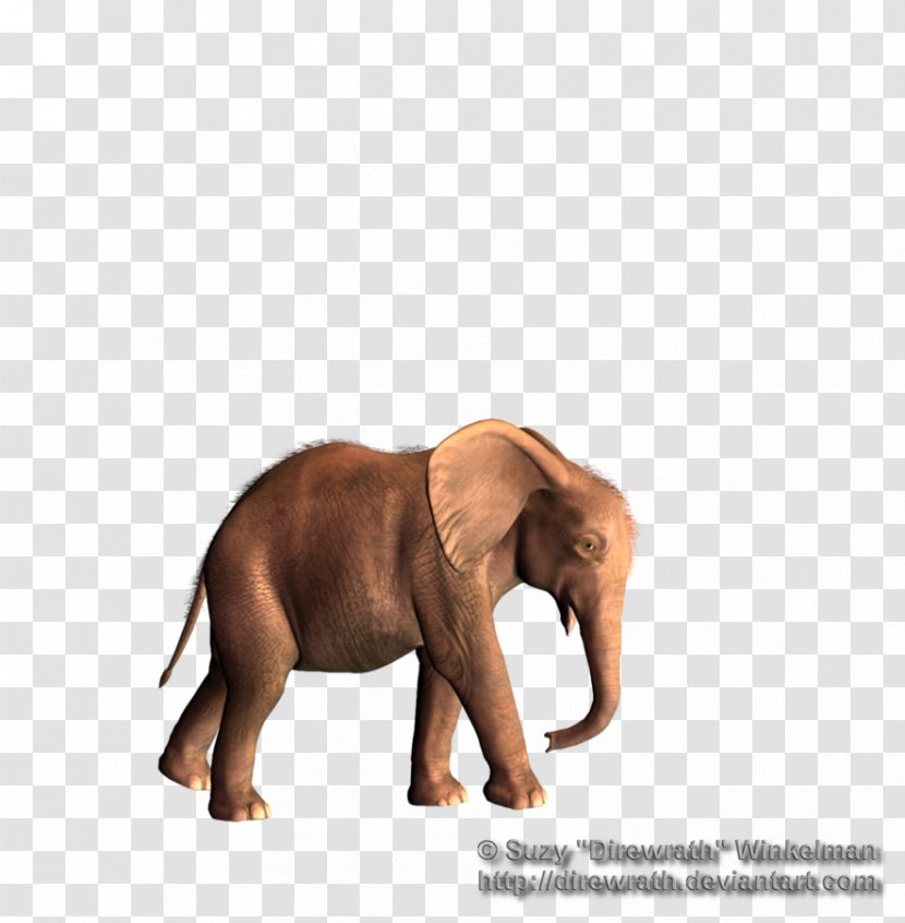 African Elephant Asian Tusk - Share Transparent PNG
