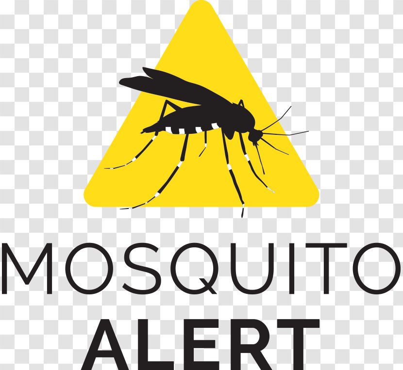 Asian Tiger Mosquito Control Yellow Fever Pest - Membrane Winged Insect - Api Map Transparent PNG