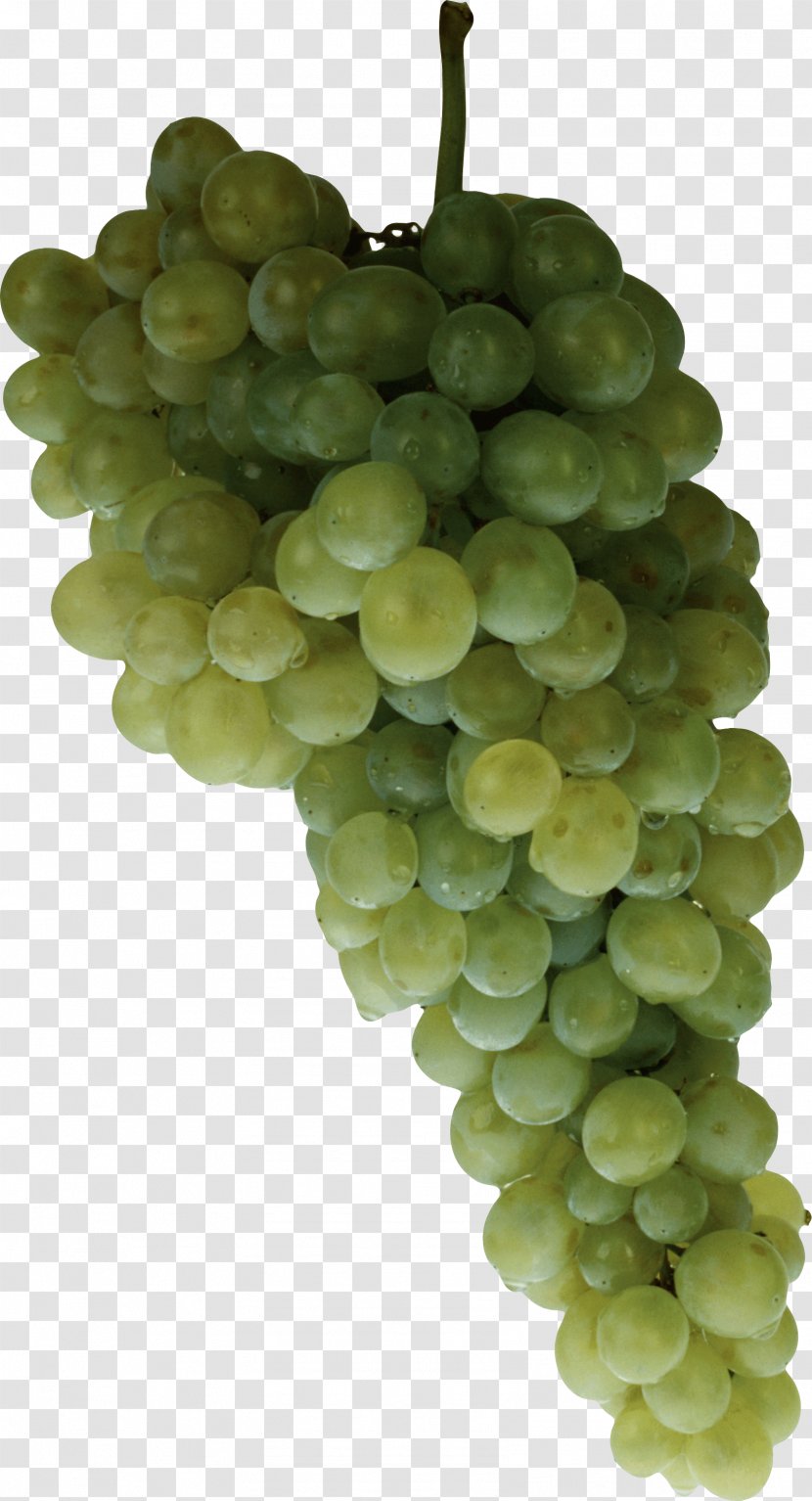 Wine Juice The Grape Restaurant Ruby Roman - Fruit - Green Image Transparent PNG