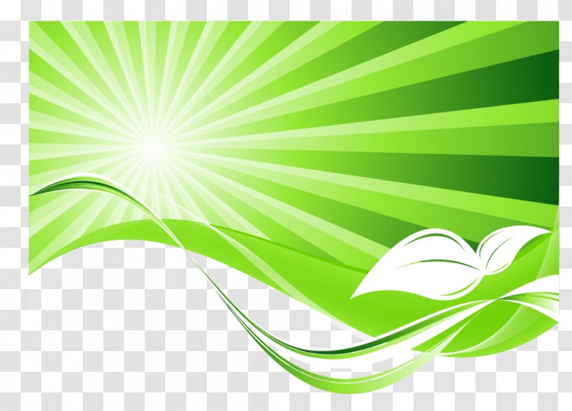 Green Flash Natural Environment Euclidean Vector - Ray Transparent PNG