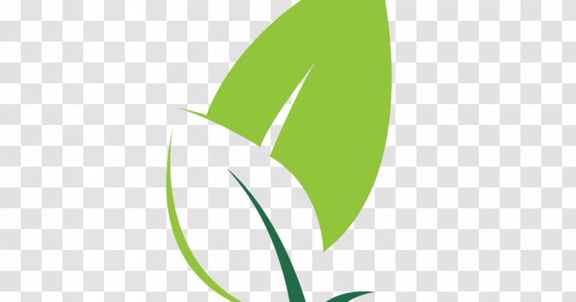 Leaf Logo Brand Desktop Wallpaper - Computer Transparent PNG