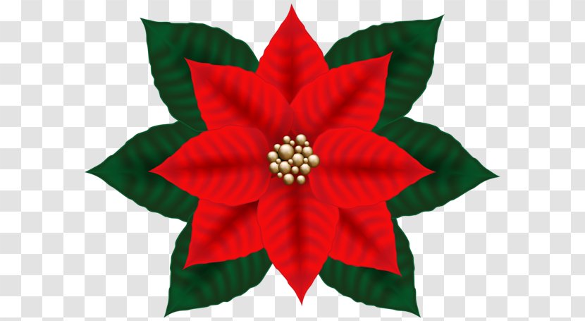Clip Art Christmas Day Image Poinsettia - Ornament - Ponsettia Cartoon Transparent PNG