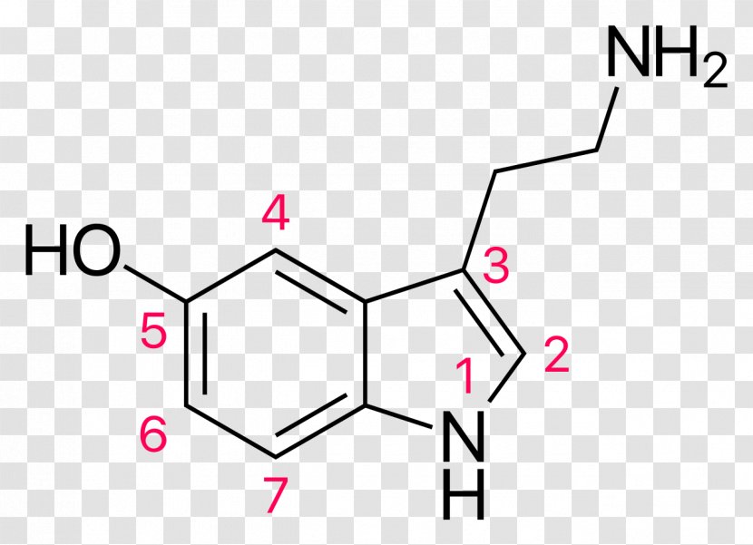 Serotonin Chemistry Food Chemical Formula Eating Disorder - Brand - Garlic Mustard Transparent PNG