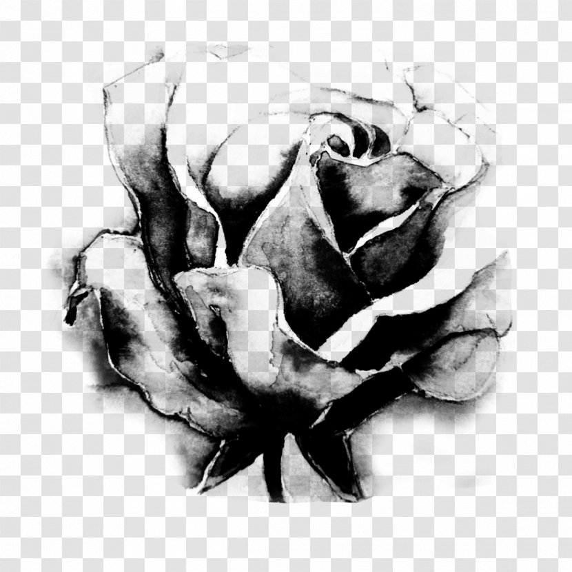 Black And White Rose Garden Roses Flower - Visual Arts - Creation Transparent PNG
