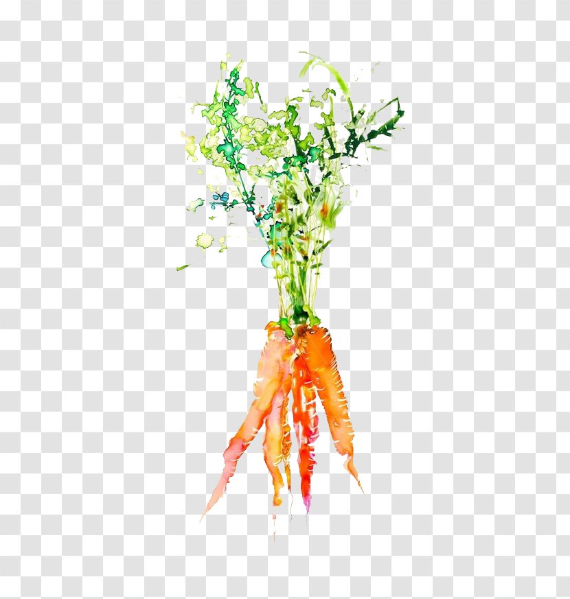 Watercolor Painting Vegetable Graphic Design Illustration - Work Of Art - Carrot Transparent PNG