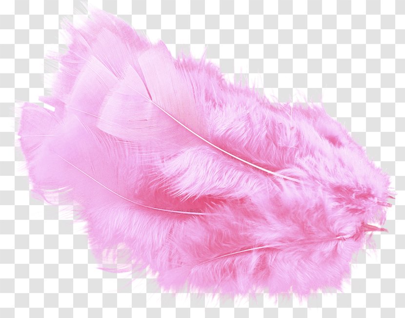 Feather Boa Pink - Magenta Transparent PNG