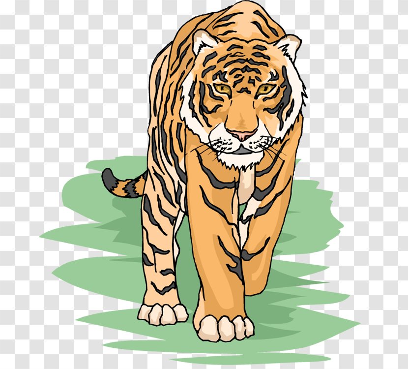 Siberian Tiger Bengal Free Content Clip Art - Habitat Cliparts Transparent PNG
