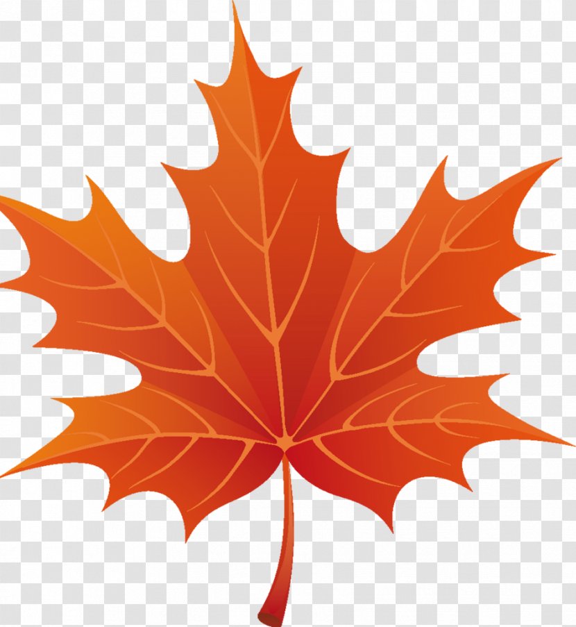 Maple Leaf Clip Art - Flowering Plant - Autumn Leaves Border Transparent PNG