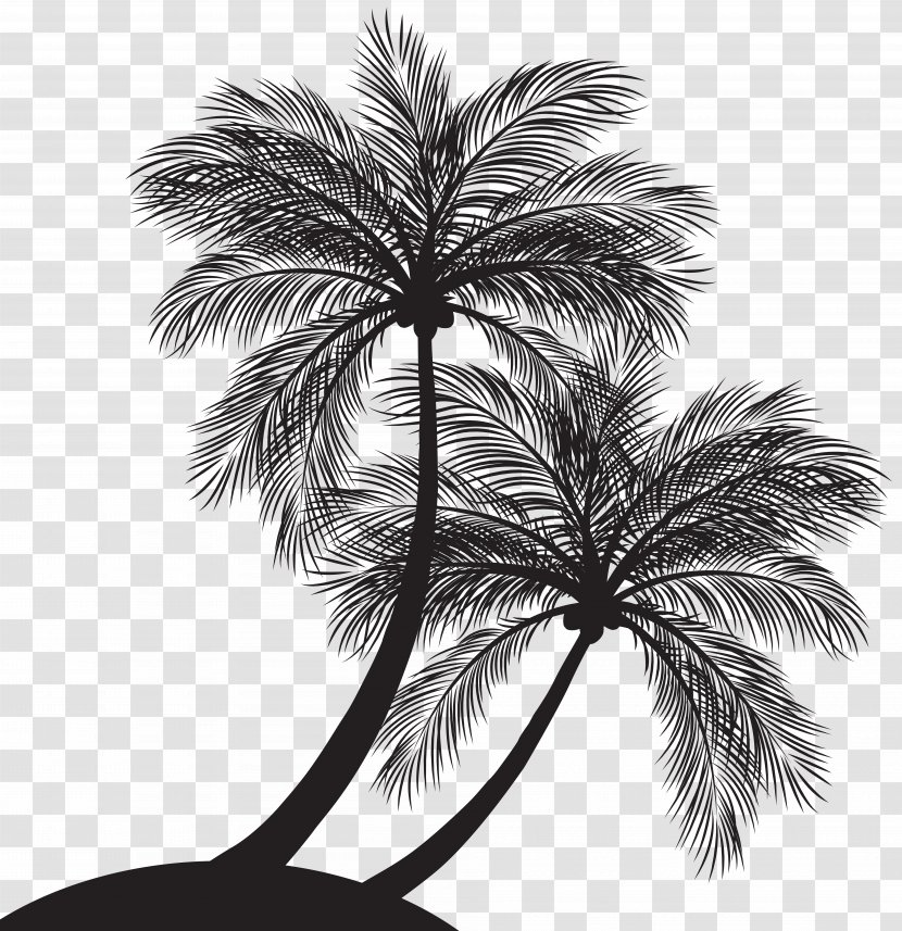 Palm Trees Clip Art Silhouette Image Vector Graphics - Woody Plant Transparent PNG