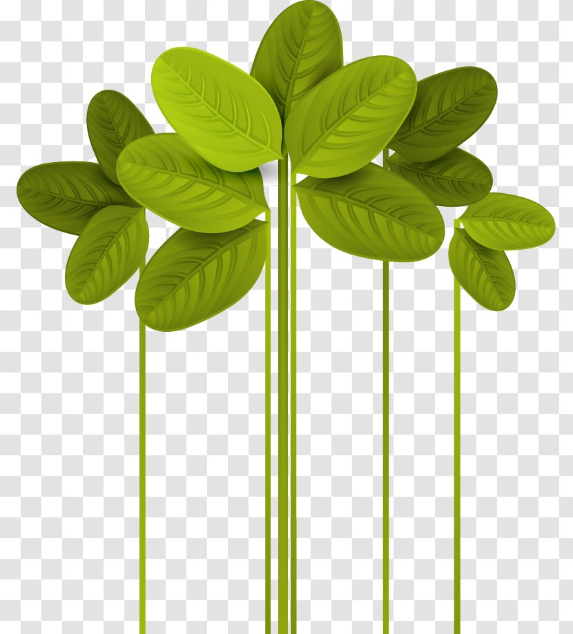 Leaf Euclidean Vector Green - Cartoon Clover Transparent PNG