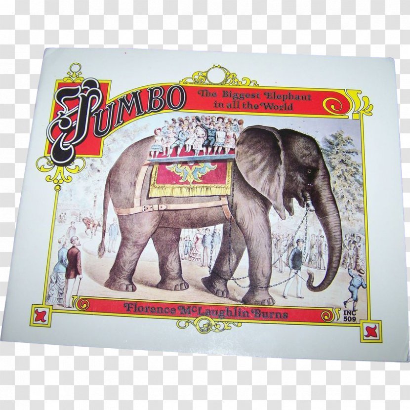 Indian Elephant African Bonny's Big Day Jumbo The - James Herriot Transparent PNG