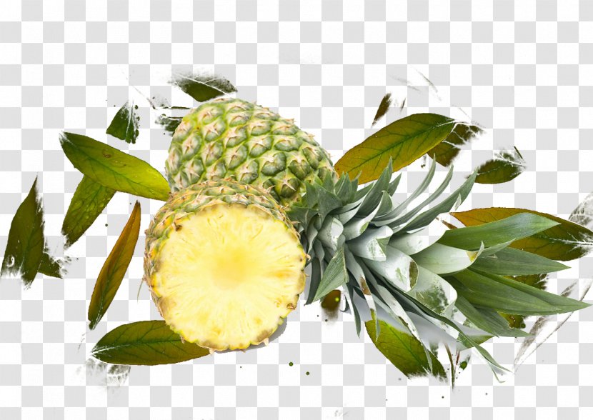 Pineapple Juice Fruit Leaf - Leaves Transparent PNG