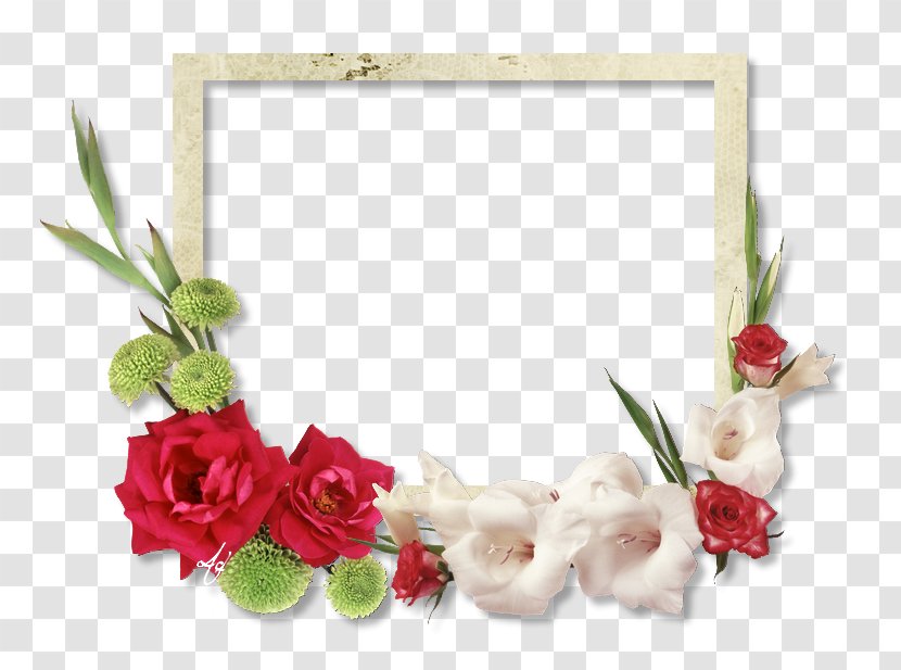 Flower Garden Roses Clip Art - Rose Family - Lovely Frame Transparent PNG