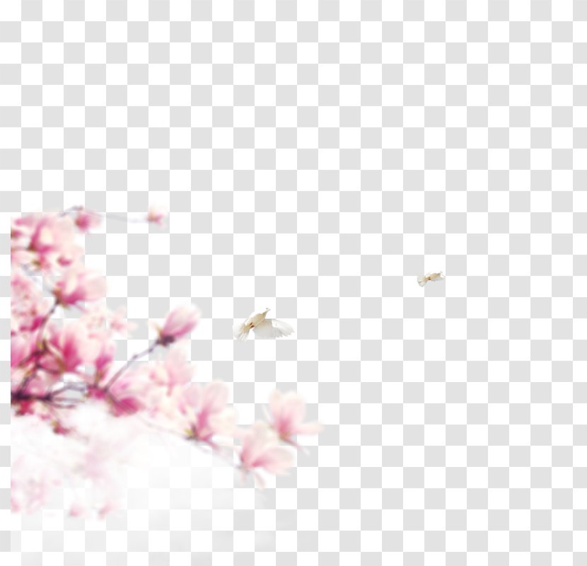 Pattern - Flower - Cherry Blossoms Transparent PNG