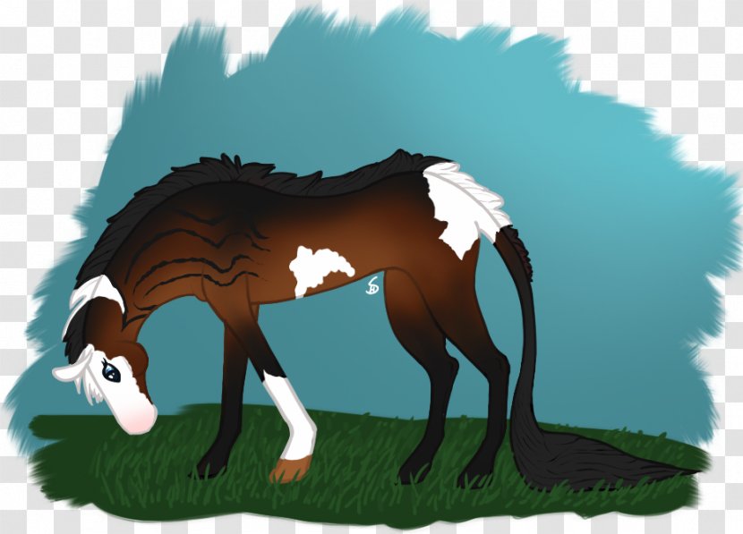 Mane Mustang Foal Stallion Colt - Shadow Mountain Transparent PNG