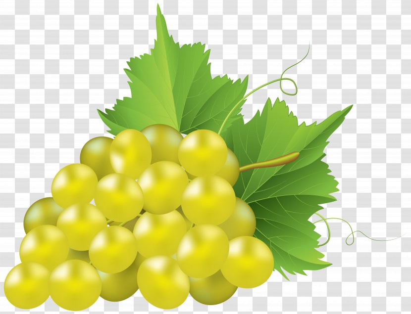 Juice Common Grape Vine Concord Clip Art - Superfood - White Grapes Cliparts Transparent PNG