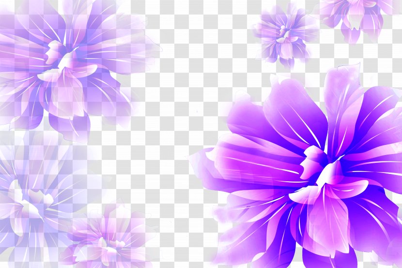 Purple Violet Google Images - Petal - Fantasy Background Border Transparent PNG