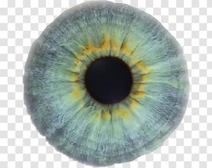Light Eye Color Iris Human - Watercolor Transparent PNG