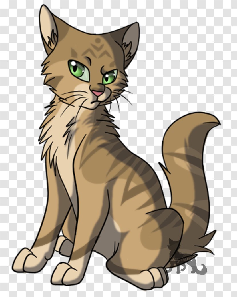 Whiskers Kitten Cat Warriors Firestar - Like Mammal Transparent PNG