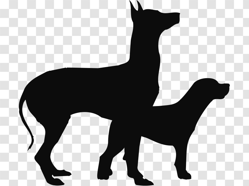 Dog Breed Silhouette Paper Non-sporting Group Black - Non Sporting Transparent PNG