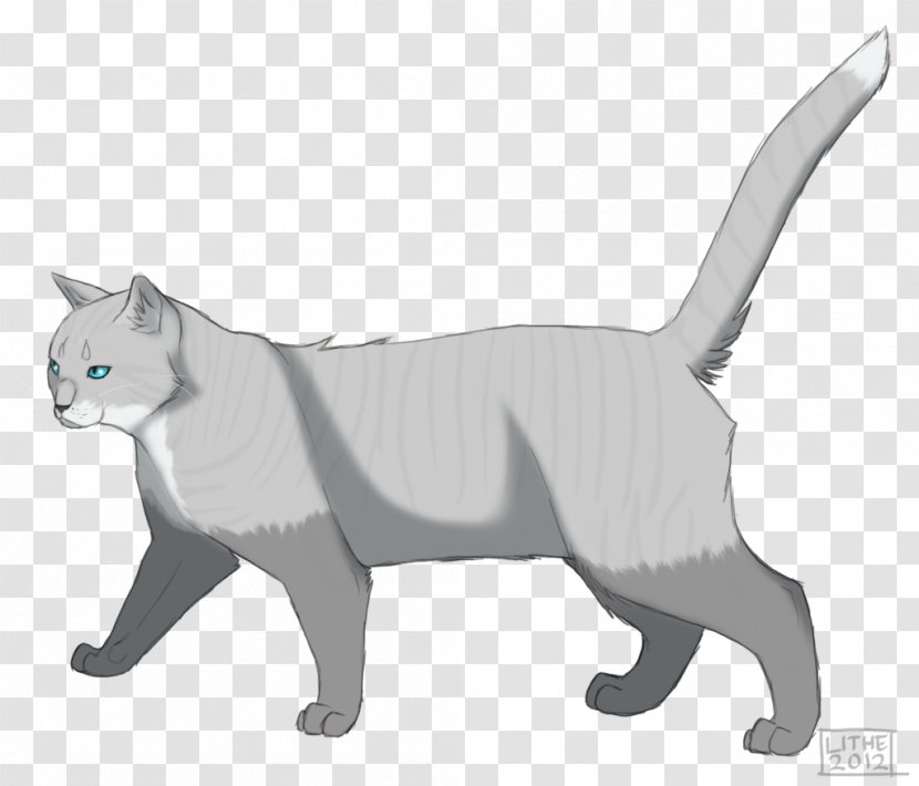 Whiskers Kitten Cat DeviantArt - Art - Primrose Everdeen Transparent PNG