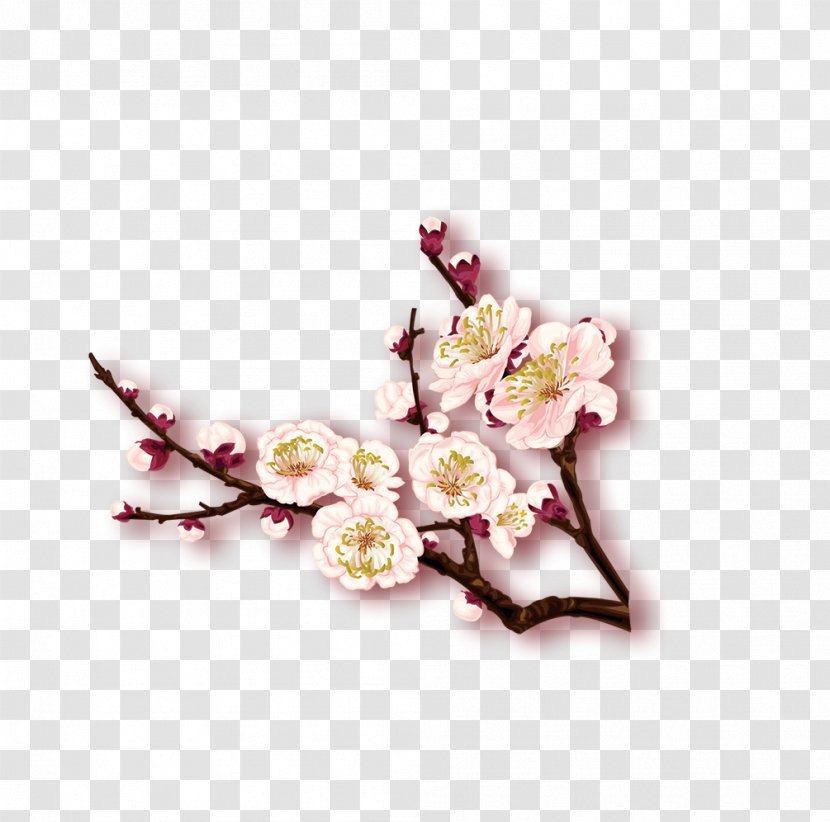 Plum Blossom Winter - Petal - Flower Transparent PNG
