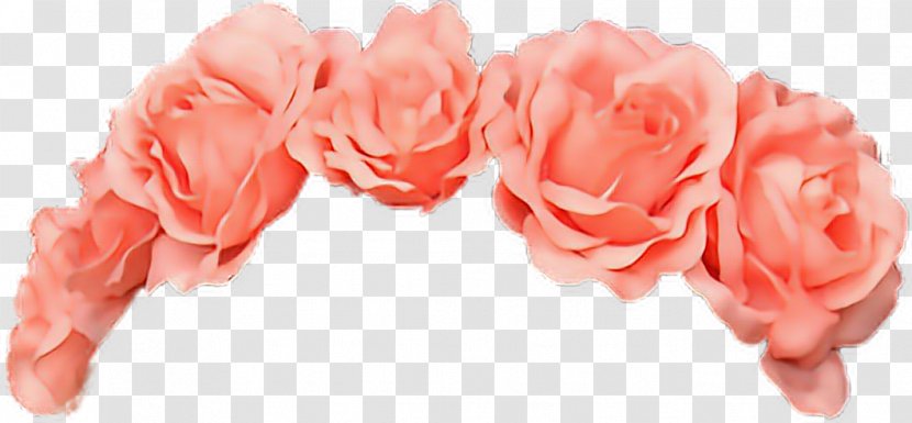 Crown Flower Clip Art Floral Design Image - Flowering Plant Transparent PNG