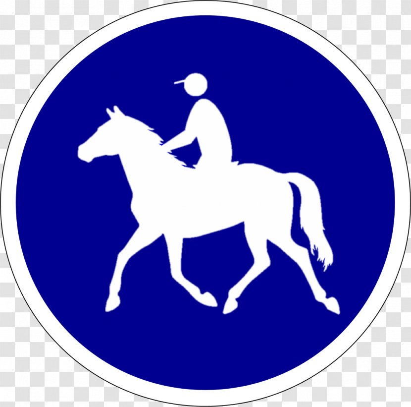 Horse Trail Riding Equestrian Hiking Transparent PNG