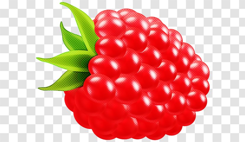 Berry Fruit Red Seedless Plant - Superfruit - Raspberry Transparent PNG