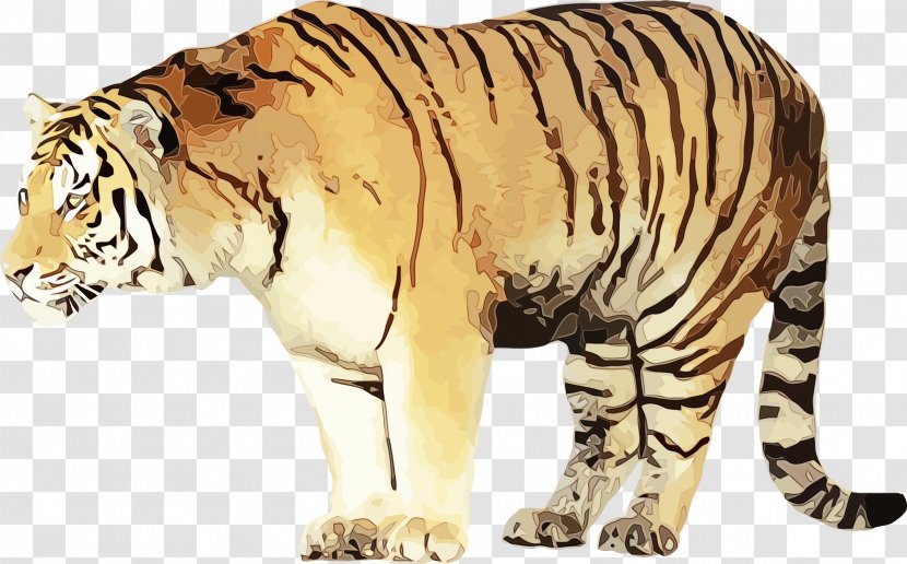 Wildlife Terrestrial Animal Bengal Tiger Figure - Siberian Transparent PNG