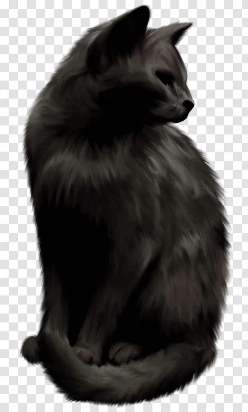Norwegian Forest Cat Nebelung Black Whiskers - Witch Transparent PNG