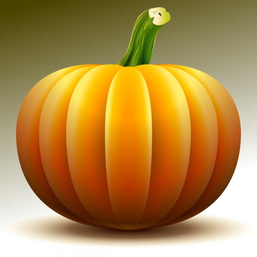 Jack-o'-lantern Pumpkin Pie Gourd Drawing - Photography - Vector Transparent PNG