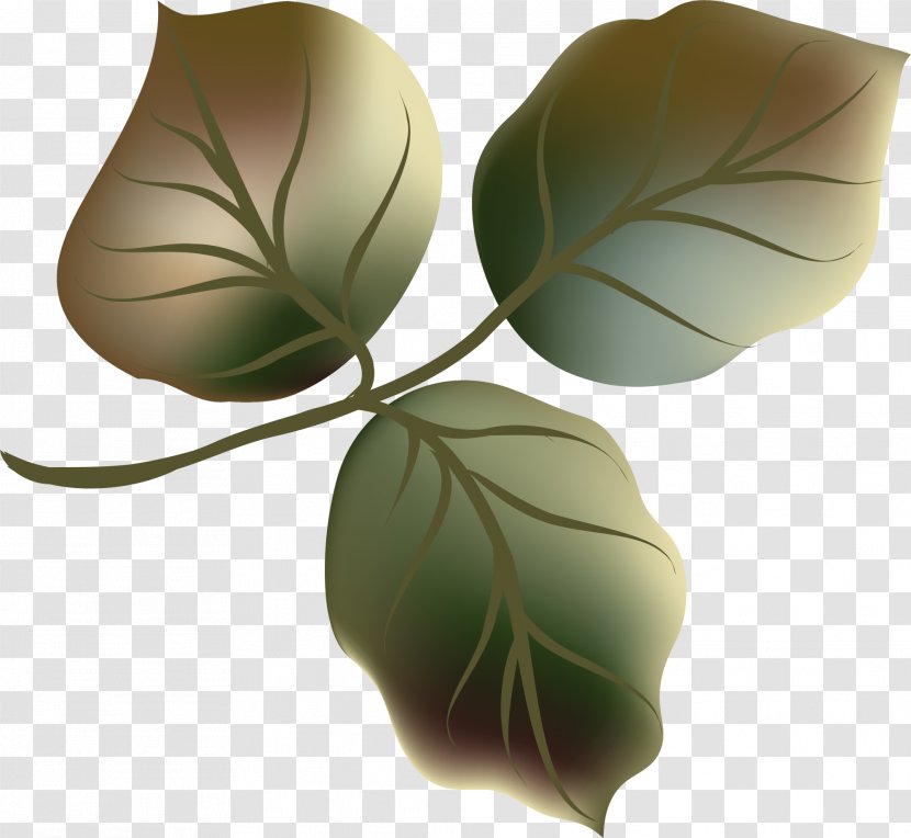 Leaf Clip Art - Plant - Fresh Green Leaves Transparent PNG