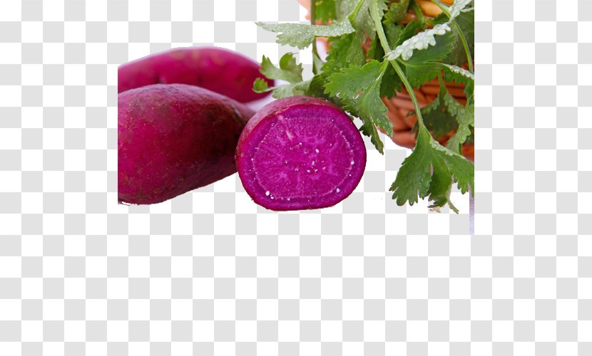 Purple Radish Sweet Potato Vegetable - Beet Transparent PNG