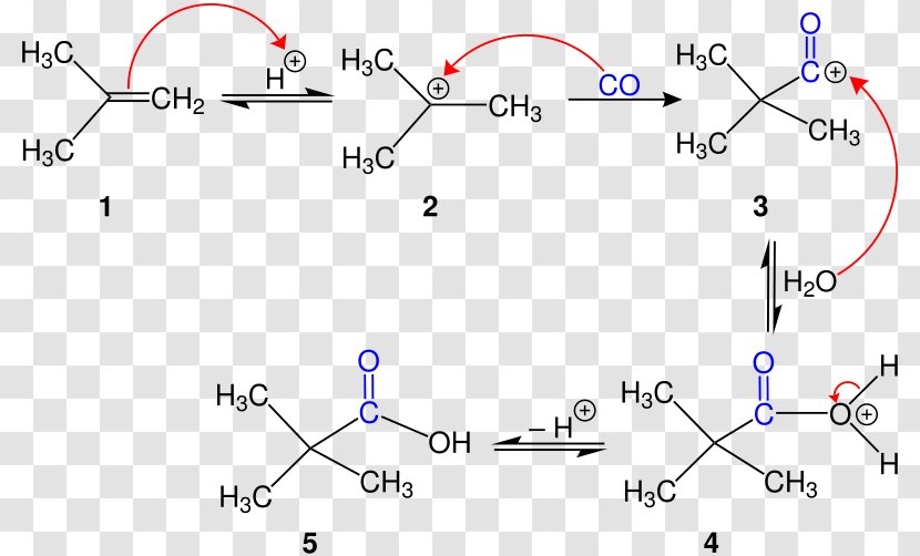 Koch Reaction Organic Chemistry Alkene - Carboxylic Acid Transparent PNG